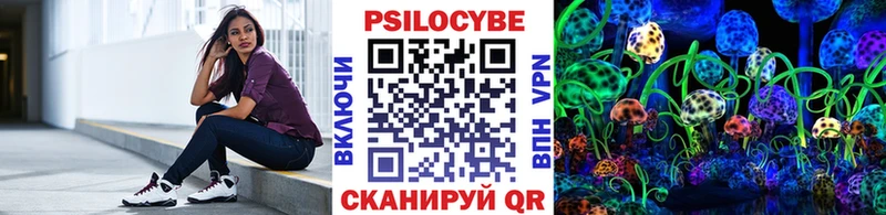 Псилоцибиновые грибы мицелий  хочу   Электрогорск 