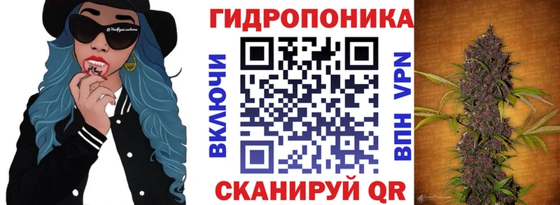 Конопля VHQ  как найти закладки  Электрогорск 